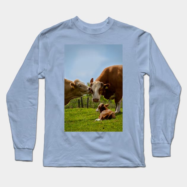 Kissin' cows Long Sleeve T-Shirt by Violaman